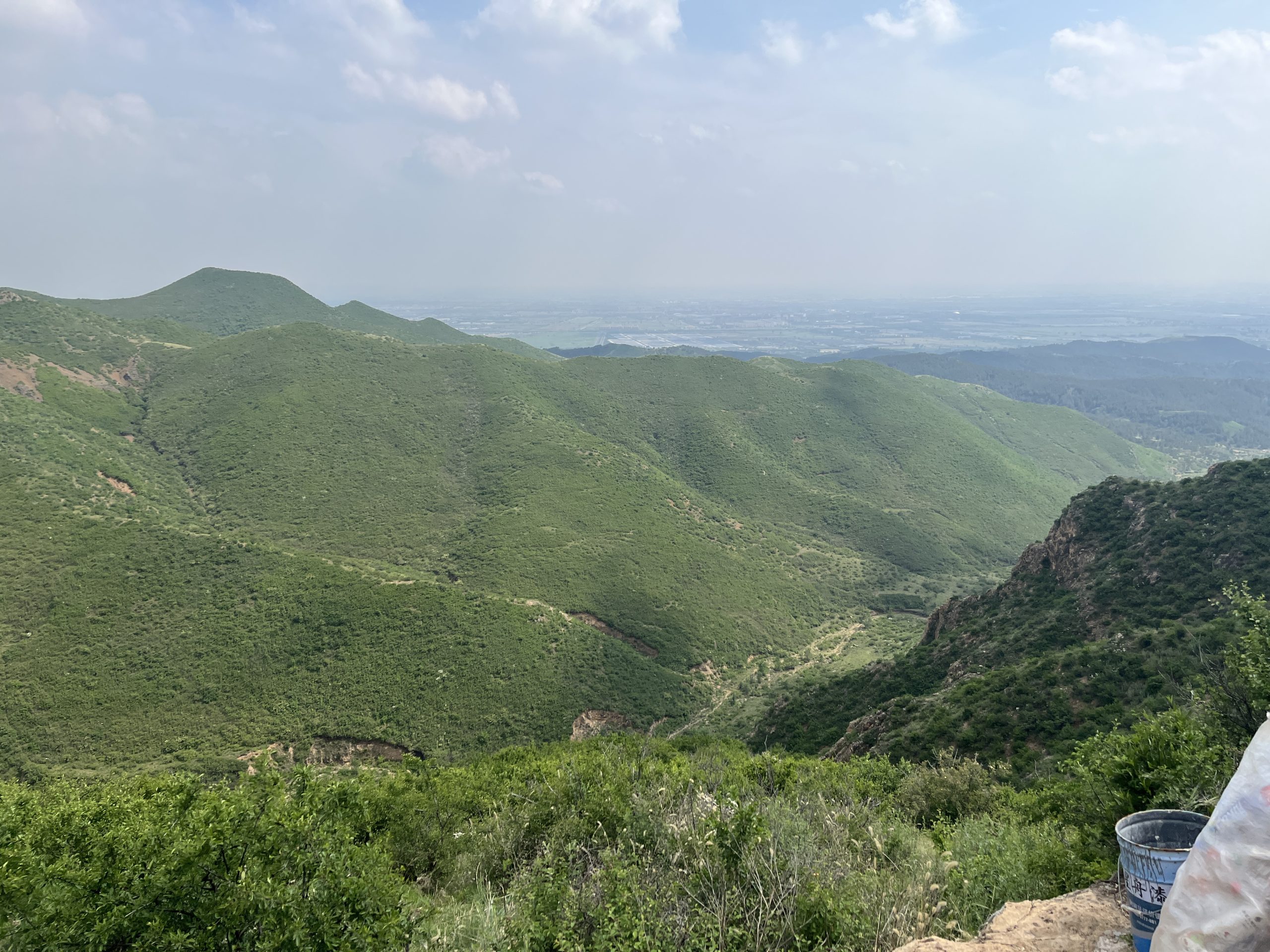 Dragon Boat Festival-Peter personal website