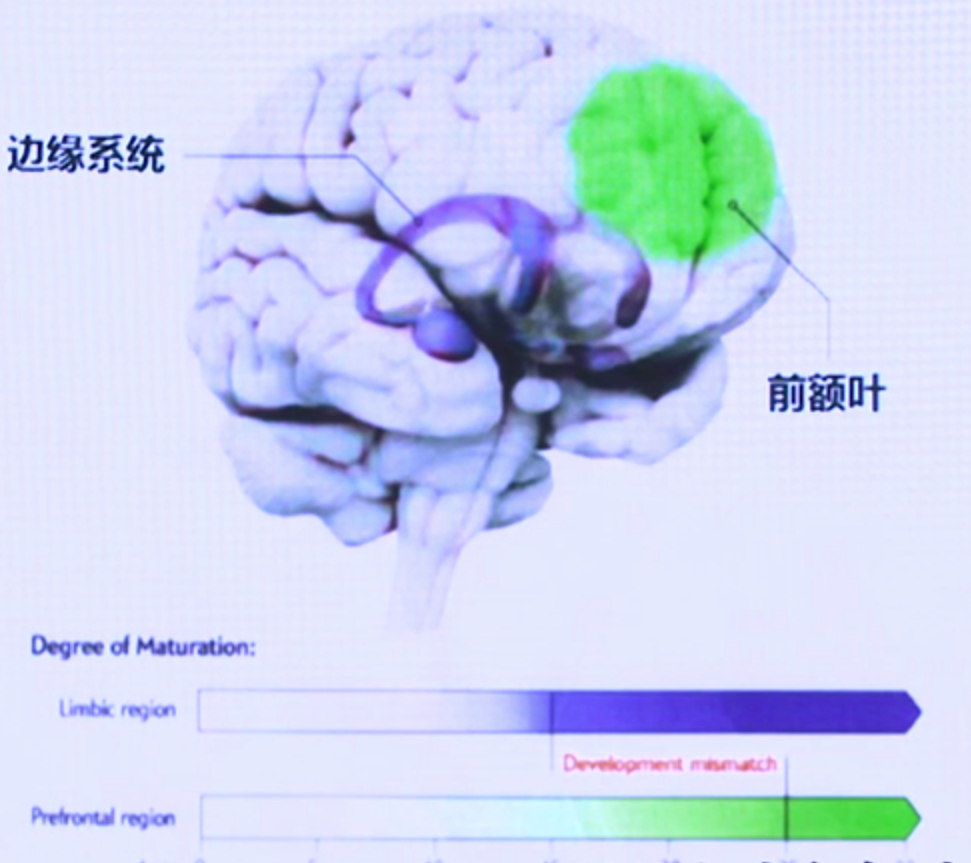 快思慢想—–-Peter personal website