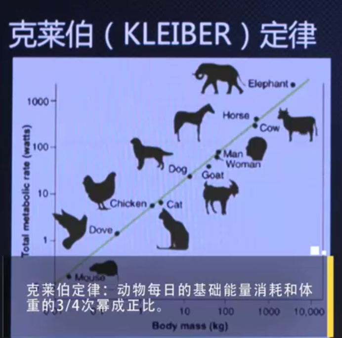 开放与好散结构