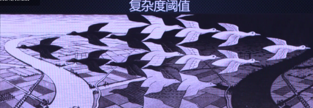  人类对于规律的偏移