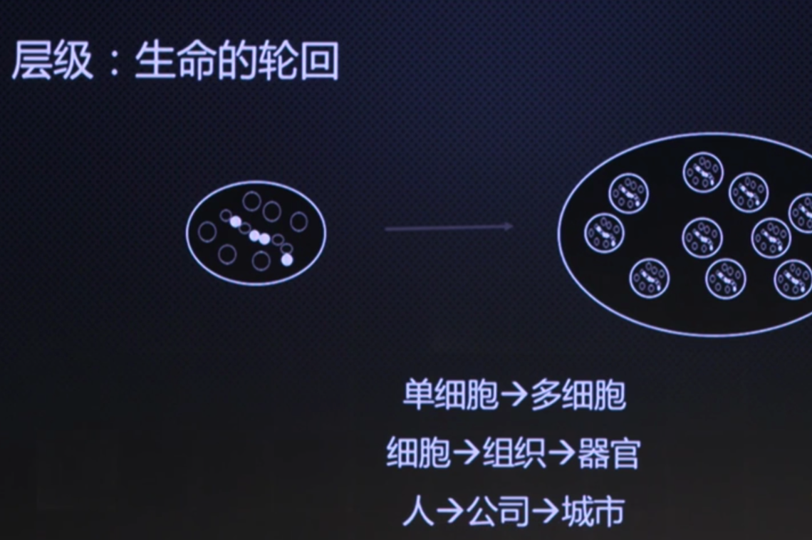  人类对于规律的偏移-Peter personal website