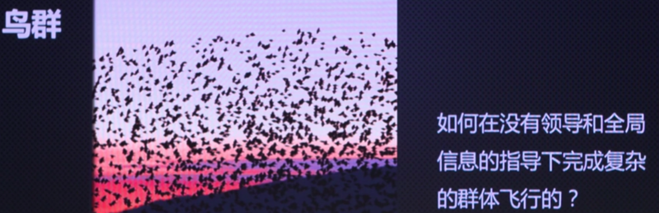 确定规则下的不确定性-Peter personal website