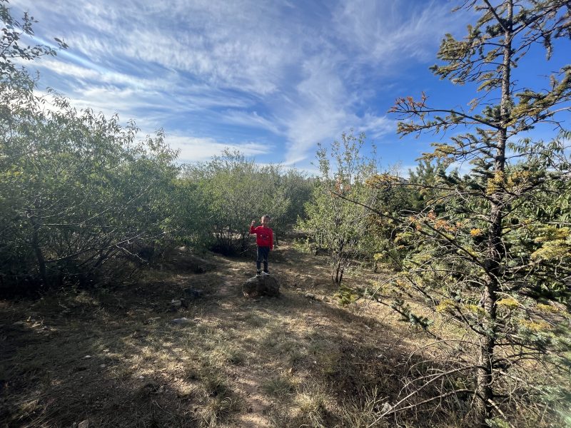 幻灯片-Peter personal website